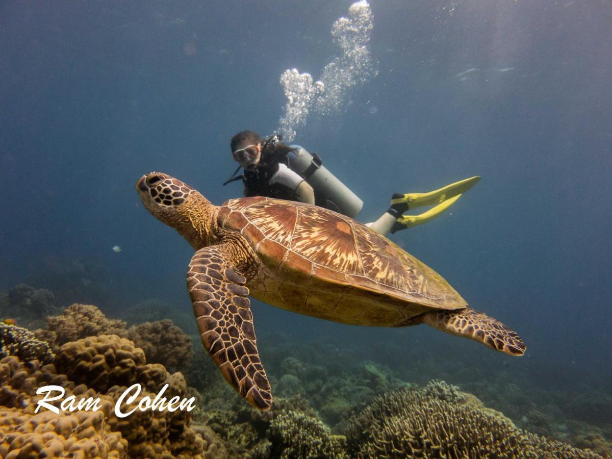 Lavanya Beach And Dive Resort Zamboanguita  Eksteriør bilde